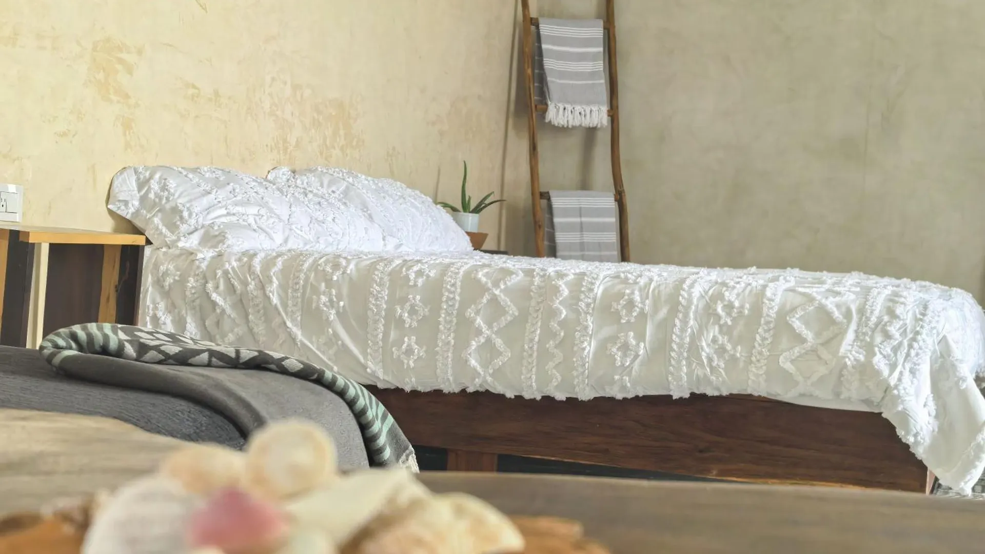 La Familia Casa And Suites Isla Holbox 0*,